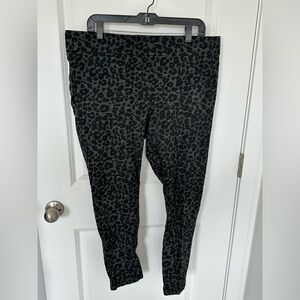 LOFT Leopard Ponte Pants